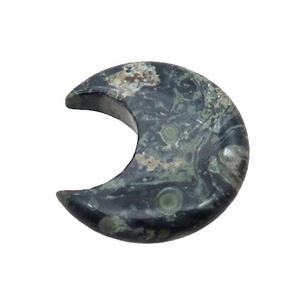 Kambaba Jasper Moon Pendant Undrilled, approx 28-30mm