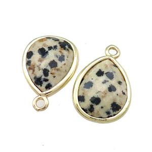 Natural Black Dalmatian Jasper Teardrop Pendant Gold Plated, approx 13-15mm