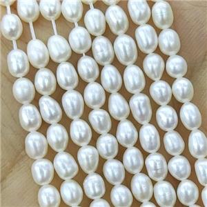 white Freshwater Pearl rice Beads, approx 3-3.5mm