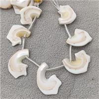 White Queen Shell Slice Beads Freeform Topdrilled, approx 20-40mm, 20cm length