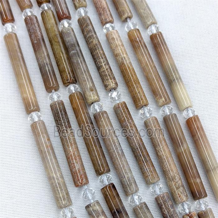 Natural Coral Fossil Column Beads Tube