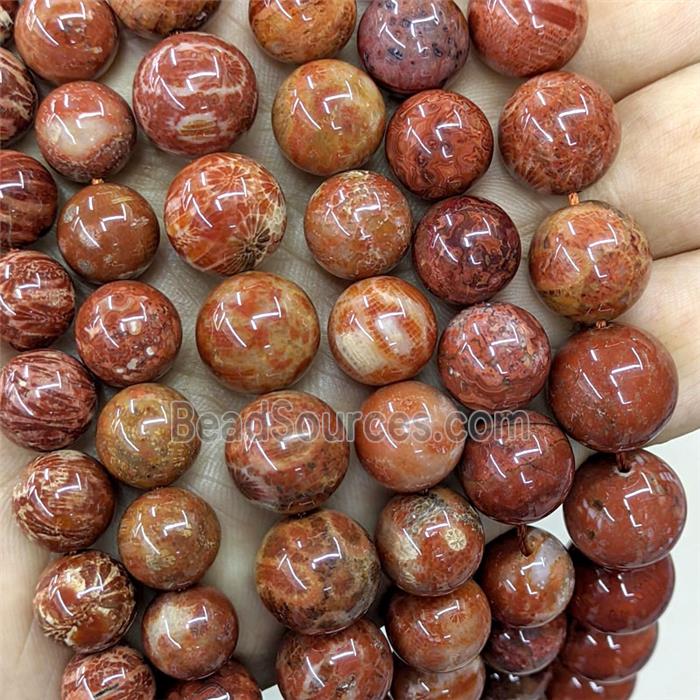 Red Coral Fossil Beads Smooth Round