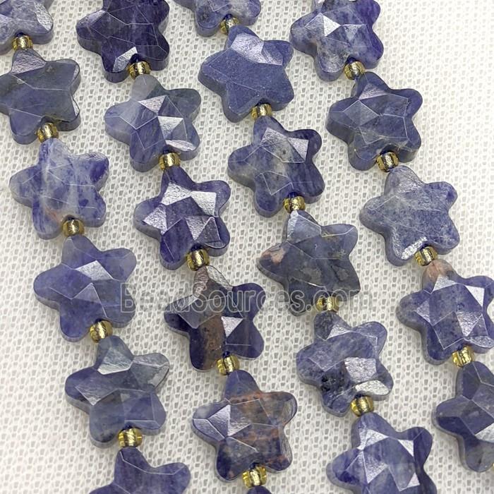 Natural Blue Sodalite Star Beads Faceted