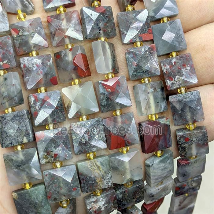 African Bloodstone Square Beads Faceted