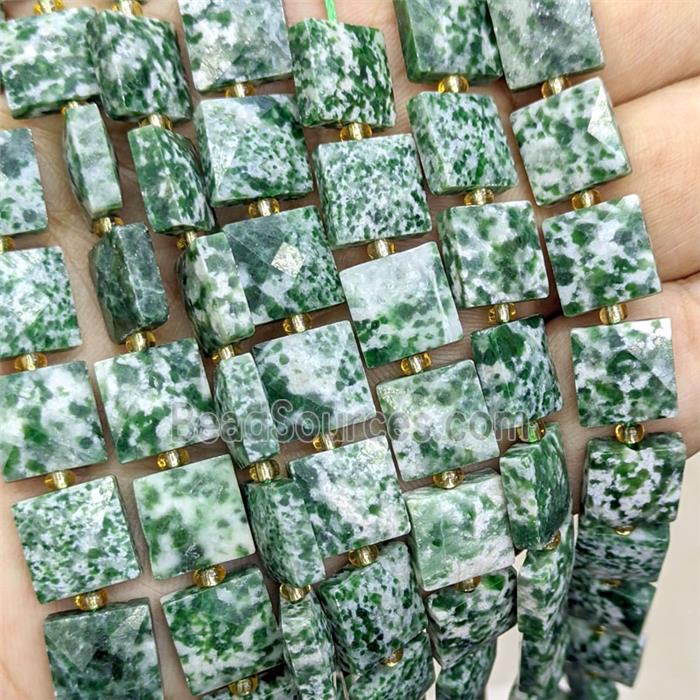 Green Dalmatian Jasper Square Beads Faceted