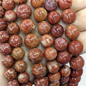 Red Coral Fossil Beads Smooth Round, approx 20mm