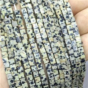 Natural Black Dalmatian Jasper Cube Beads, approx 4mm