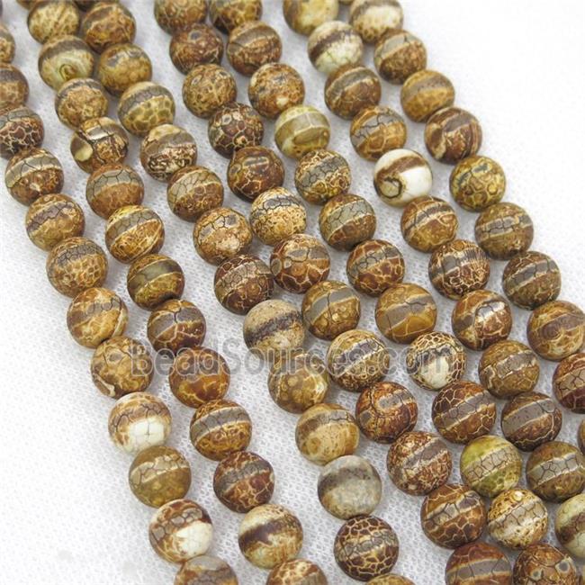 round crackle tibetan agate beads, line, antique coffee