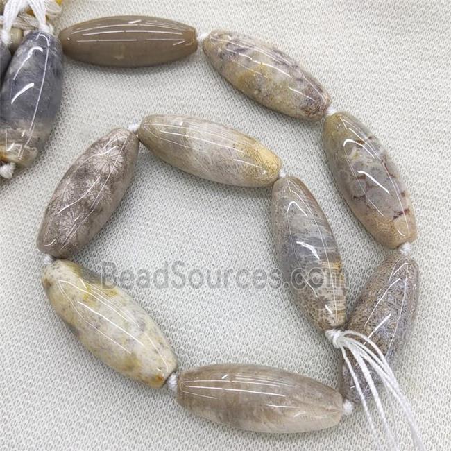 Natural Coral Fossil Rice Beads