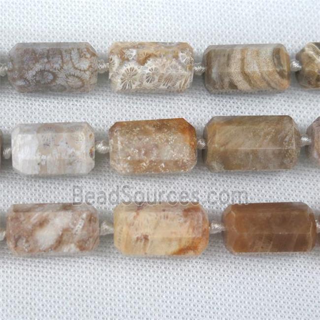 Coral Fossil tube beads