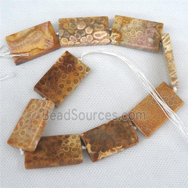 yellow Coral Fossil Beads, rectangle Petoskey