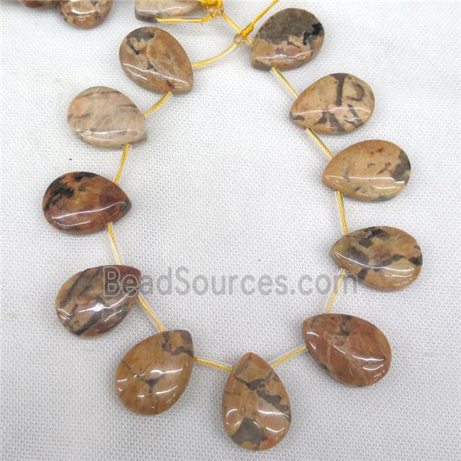 Australian Zebra Jasper teardrop beads, topdrilled