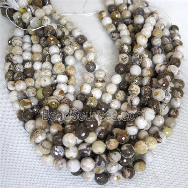 faceted round American Wooden Petrified Jasper Beads