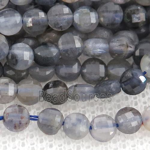 Iolite Beads, faceted coin