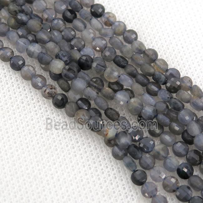 Iolite Beads, faceted coin