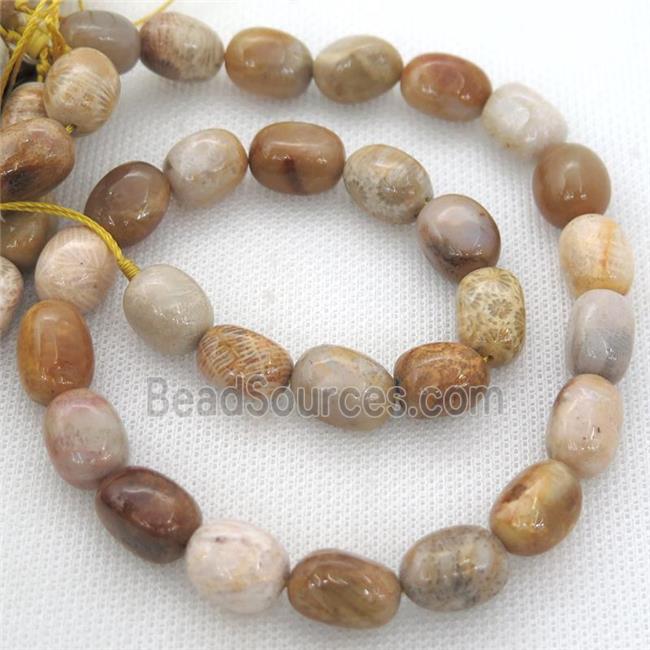 yellow Coral Fossil Beads, freeform