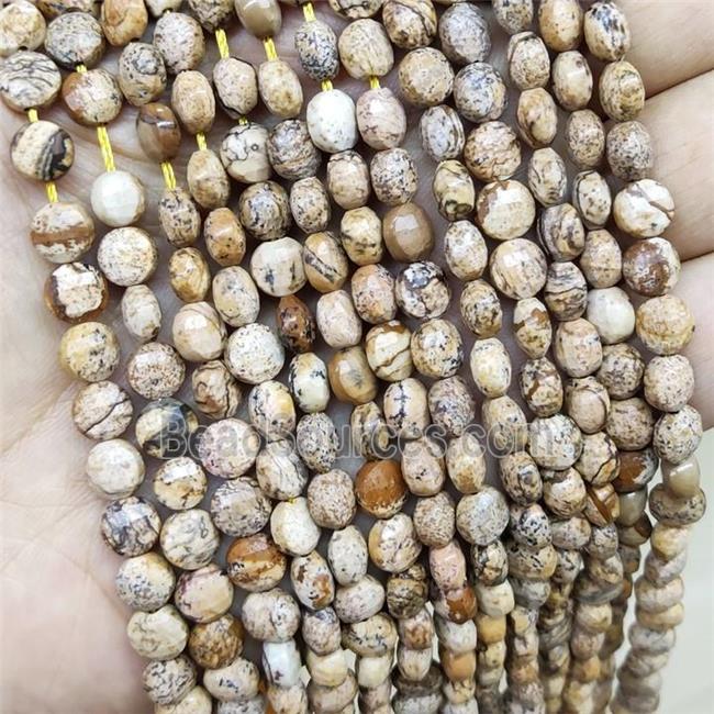 Picture Jasper Beads Faceted Coin