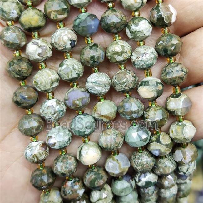 Natural Green Rhyolite Beads Cut Rondelle