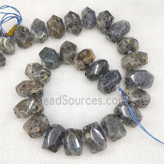 Natural Sesame Quartz Nugget Beads Gray Freeform