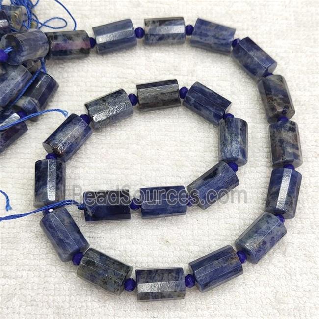 Natural Blue Sodalite Tube Beads Column