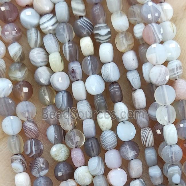 Natural Botswana Agate Beads Faceted Circle