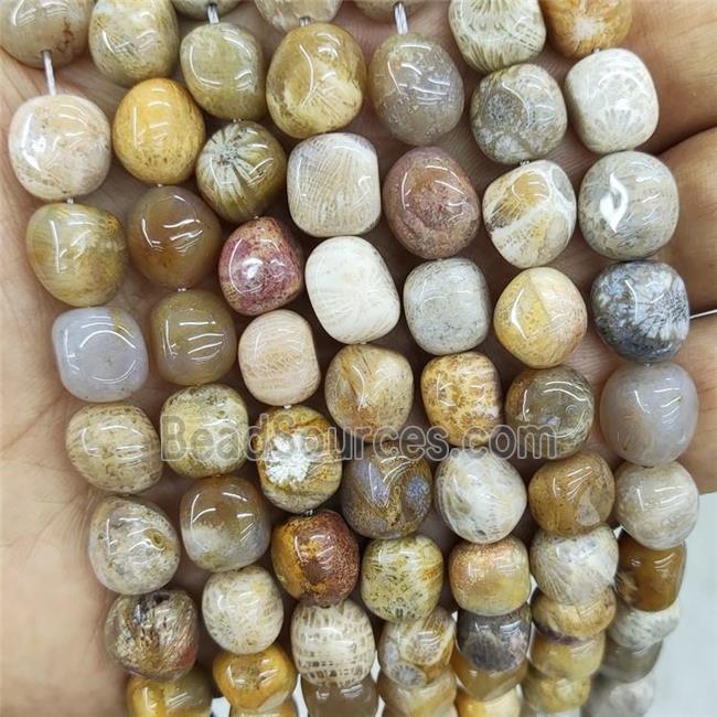 Natural Coral Fossil Beads Freeform Chip