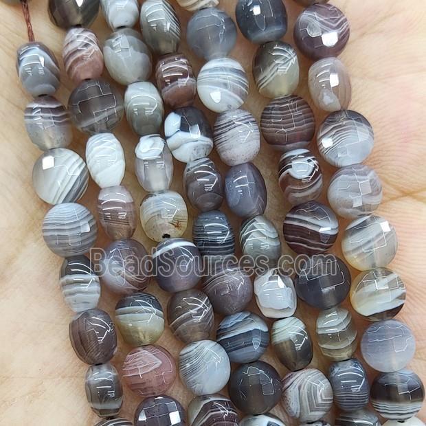 Natural Botswana Agate Beads Faceted Circle