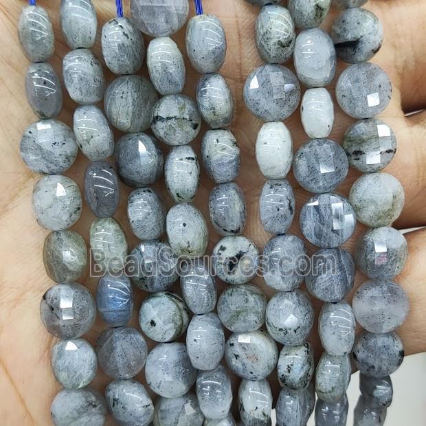 Natural Labradorite Beads Faceted Circle