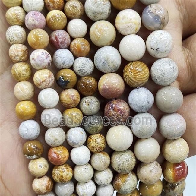 Natural Coral Fossil Beads Yellow Chrysanthemum Jasper Smooth Round