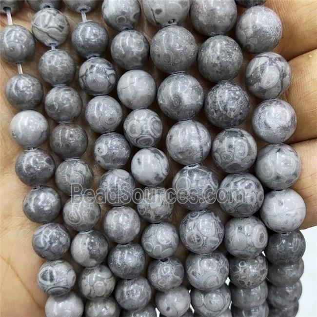 Gray Fossil Jasper Beads Smooth Round