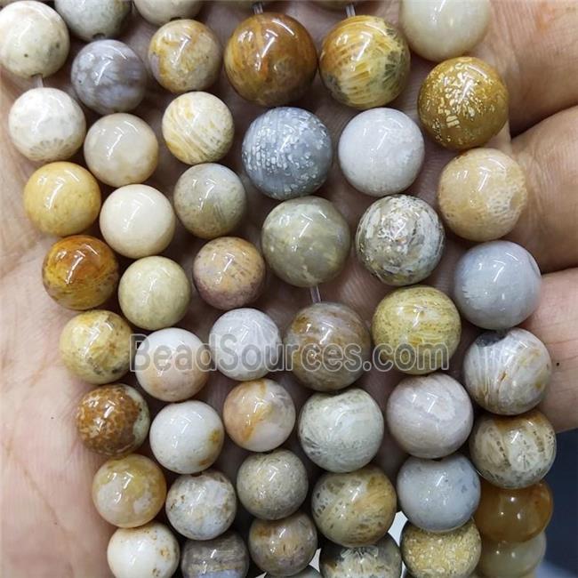 Natural Yellow Coral Fossil Beads Chrysanthemum Jasper Smooth Round