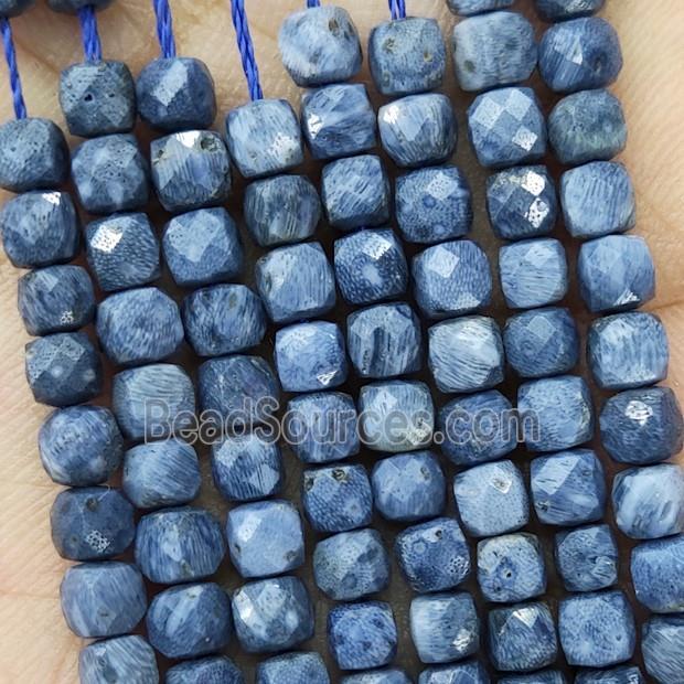 Natural Blue Coral Fossil Beads Faceted Cube