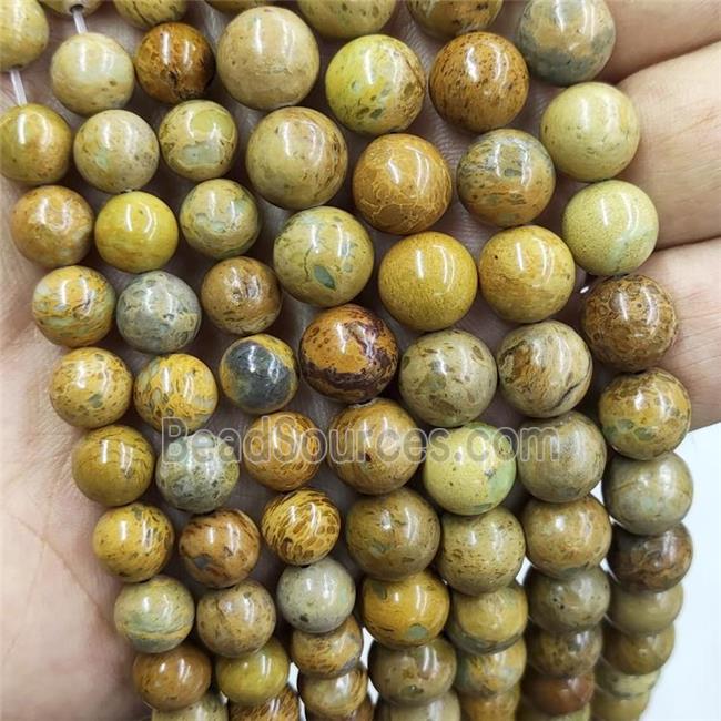 Imperial Jasper Beads Khaki Smooth Round