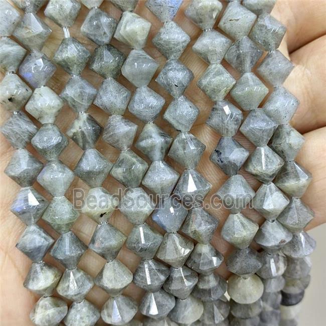 Natural Labradorite Bicone Beads