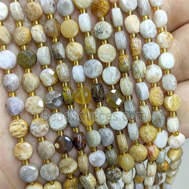 Natural Coral Fossil Beads Yellow Faceted Coin