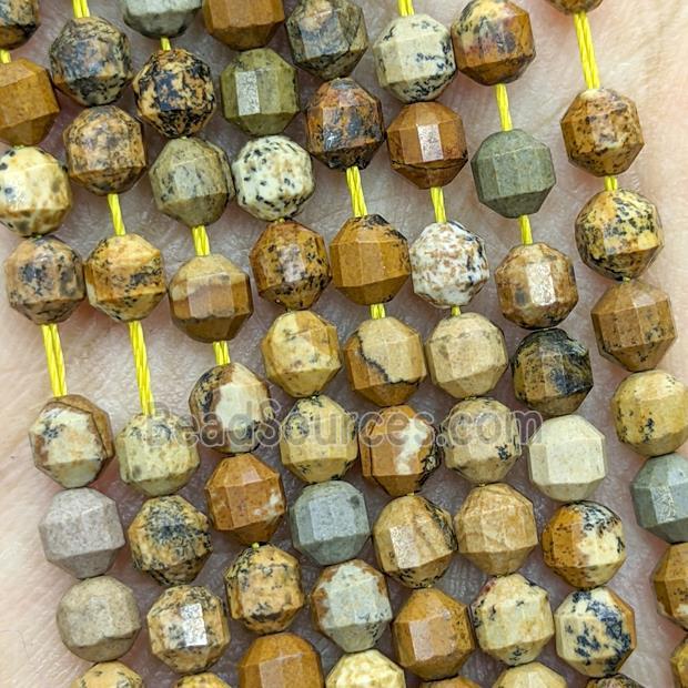 Natural Picture Jasper Prism Beads