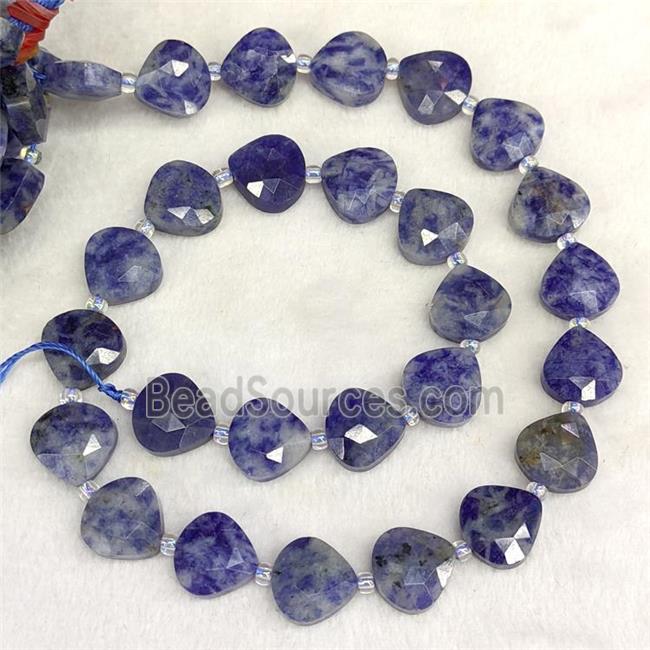 Blue Dalmatian Jasper Beads Faceted Teardrop