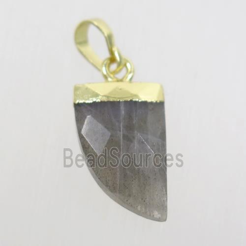 Labradorite horn pendant, gold plated