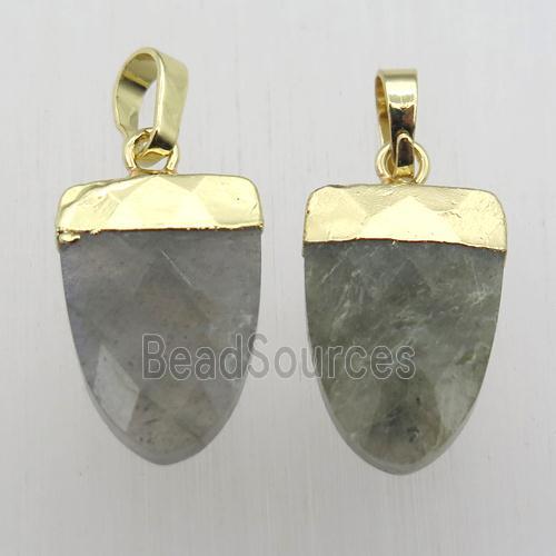 Labradorite Tongue Pendant Gold Plated