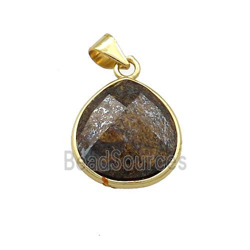 Natural Bronzite Teardrop Pendant Gold Plated