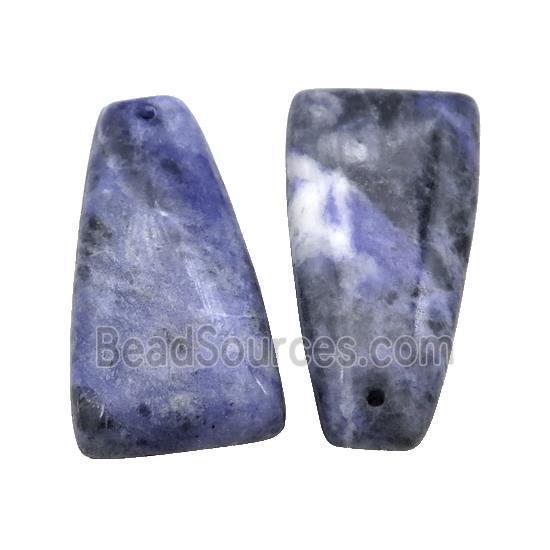 Natural Blue Sodalite Trapeziform Pendant