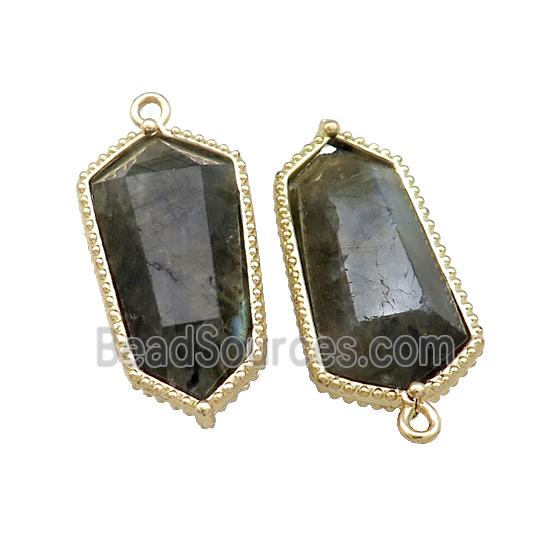 Natural Labradorite Prism Pendant Gold Plated