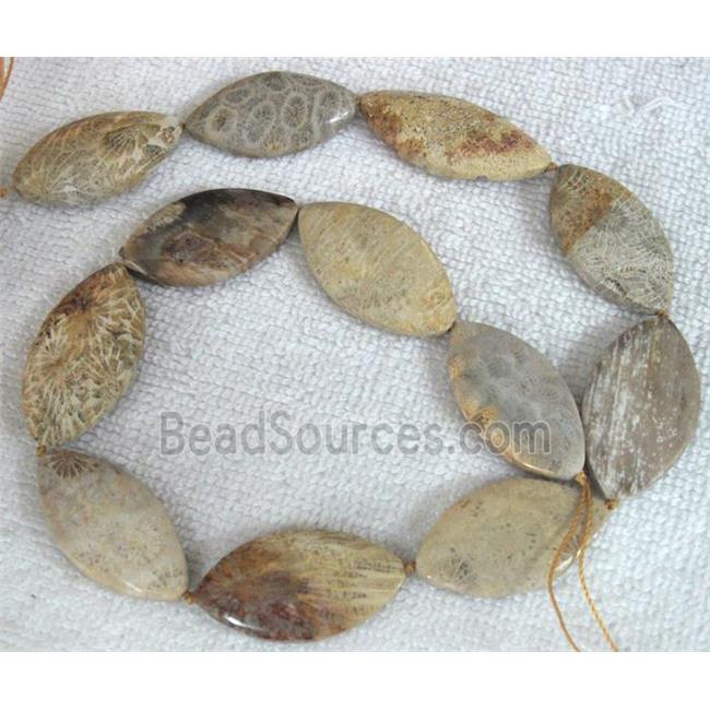 Coral Fossil Beads, chrysanthemum, horse eye