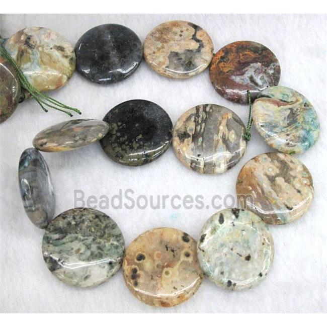 Ocean Agate beads, coin round