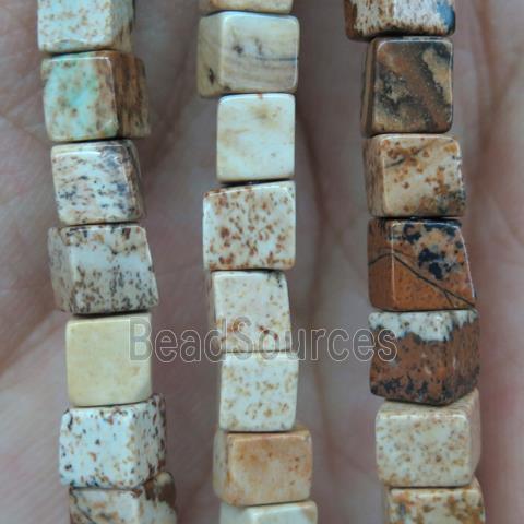 Picture Jasper cube beads