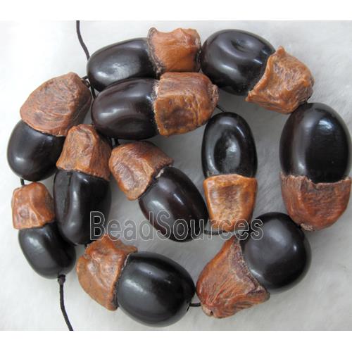 Bodhi Beads, fruit