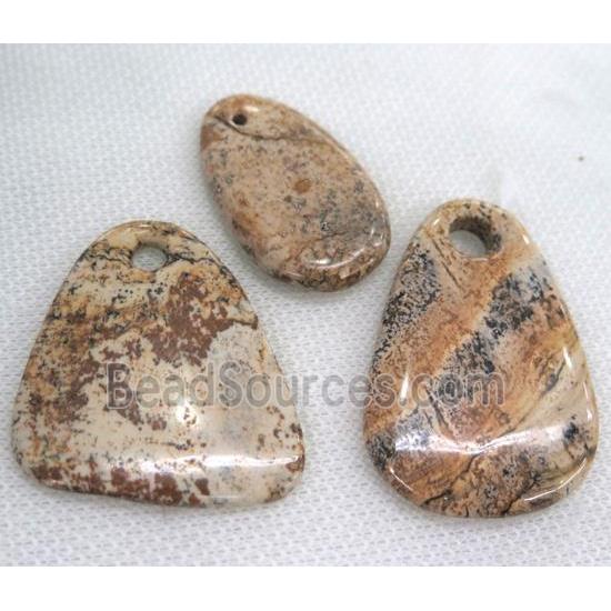 Picture Jasper pendant, mix shape