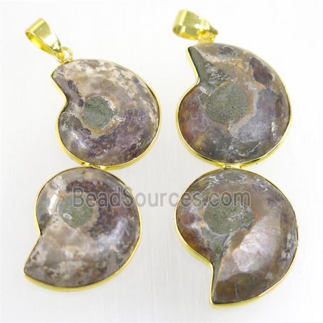 double Ammonite Fossil pendant, gold plated