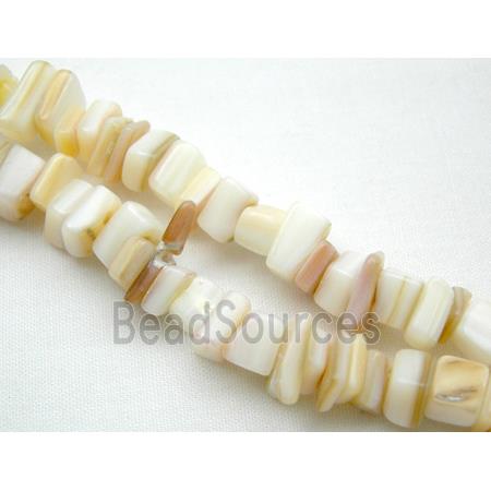 Sea Shell Chip Beads