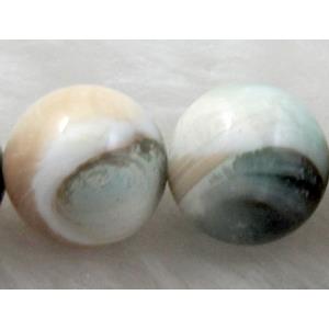 tridacna shell beads, round